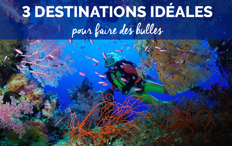 Croisières plongée : Top 3 des destinations